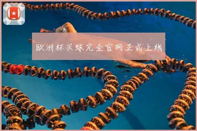 欧洲杯买球完全官网正式上线