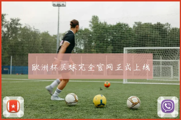欧洲杯买球完全官网正式上线