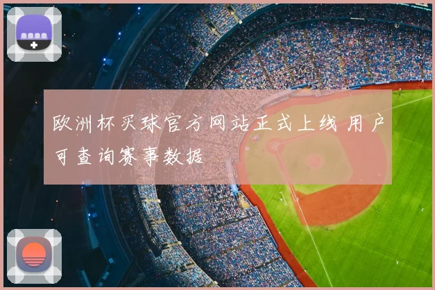 欧洲杯买球官方网站正式上线 用户可查询赛事数据