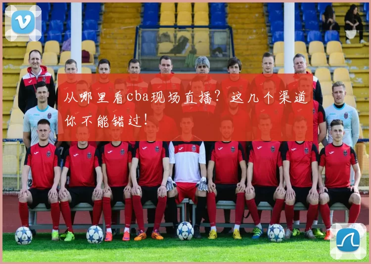 从哪里看cba现场直播？这几个渠道你不能错过！