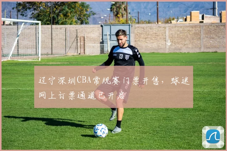 辽宁深圳CBA常规赛门票开售，球迷网上订票通道已开启