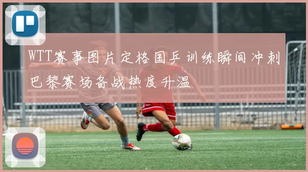 WTT赛事图片定格国乒训练瞬间冲刺巴黎赛场备战热度升温