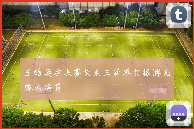 王皓奥运决赛失利三获单打银牌无缘大满贯