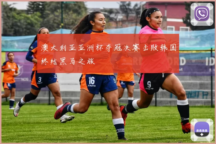 澳大利亚亚洲杯夺冠决赛击败韩国终结黑马之旅