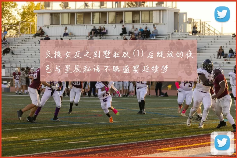 交换女友之别墅狂欢(1)后绽放的夜色与星辰私语不眠盛宴延续梦